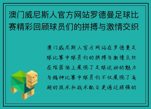 澳门威尼斯人官方网站罗德曼足球比赛精彩回顾球员们的拼搏与激情交织在绿茵场上