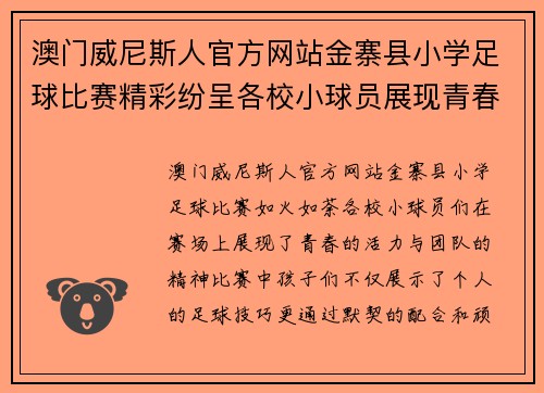 澳门威尼斯人官方网站金寨县小学足球比赛精彩纷呈各校小球员展现青春风采与团队精神